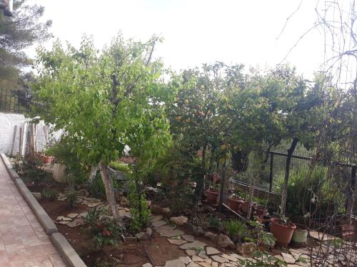 Garden, ΔΙΠΛΑΚΑΤΟΙΚΙΑ ΔΗΛΕΣΙ in Dhilesi Garden, ΔΙΠΛΑΚΑΤΟΙΚΙΑ ΔΗΛΕΣΙ in Dhilesi