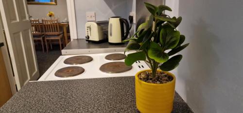 12 Minutes to Centre-Near A1-Parking in Wickham 12 Minutes to Centre-Near A1-Parking in Wickham