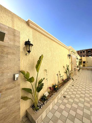 Luxury Sea View 3 Bedrooms, Central AC, WiFi in Mahdia City Center Luxury Sea View 3 Bedrooms, Central AC, WiFi in Mahdia City Center