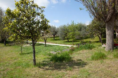 LE PIUME B&B in Cupramontana LE PIUME B&B in Cupramontana