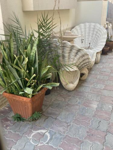 Warqa Garden in Jumeirah Warqa Garden in Jumeirah