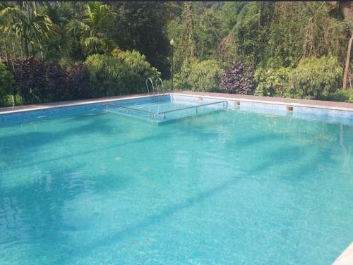 Piscina, Lazo Areca Resort in Coorg Piscina, Lazo Areca Resort in Coorg