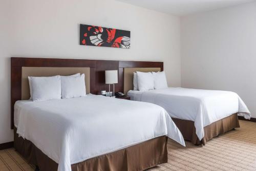 Wyndham Garden San Jose Escazu in San José Wyndham Garden San Jose Escazu in San José