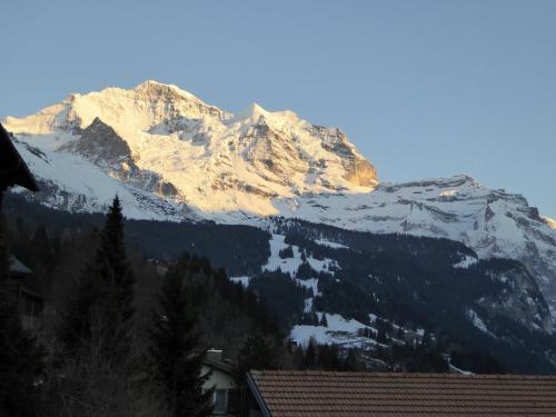 View, Chalet Gerbera in Wengen View, Chalet Gerbera in Wengen