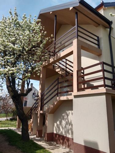 Apartmani Ostojic in Vrdnik Apartmani Ostojic in Vrdnik