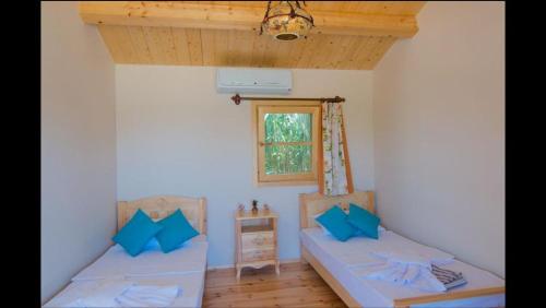 Equestrian and Beach Club in Koyunbaba Equestrian and Beach Club in Koyunbaba