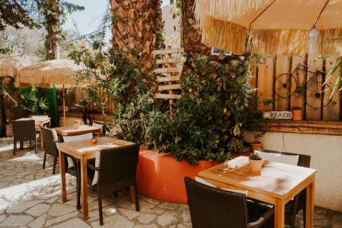 Food and beverages, Hotel Le Petit Castel in Saramartel Food and beverages, Hotel Le Petit Castel in Saramartel