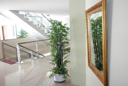 This photo about Hotel Cinera shared on HyHotel.com