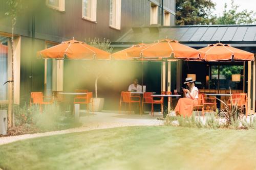Garden, Mollie's Motel & Diner Bristol in Bristol Garden, Mollie's Motel & Diner Bristol in Bristol
