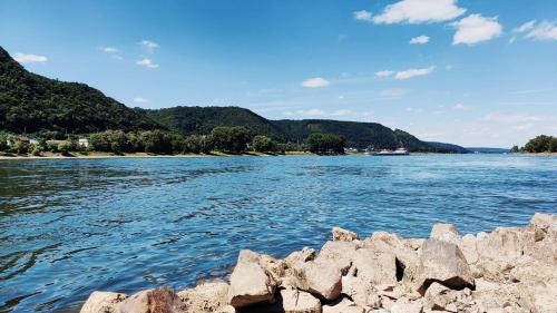 Nearby attraction, ❀ Margaretes Gastehaus ❀ in Rheinbrohl Nearby attraction, ❀ Margaretes Gastehaus ❀ in Rheinbrohl