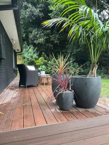 Bird Song Cottage Figtree close to Wollongong 2 bedrooms 1 bathroom in Figtree Bird Song Cottage Figtree close to Wollongong 2 bedrooms 1 bathroom in Figtree