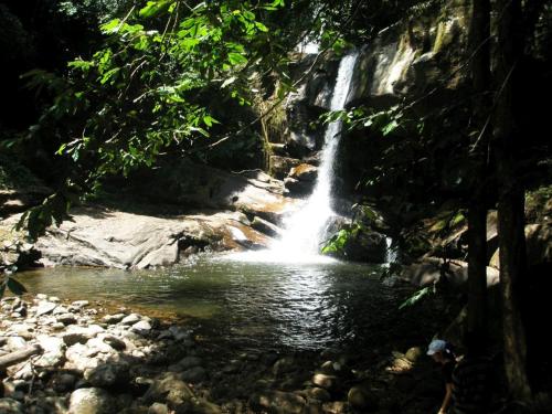 This photo about Tan-Swiss Lodge shared on HyHotel.com