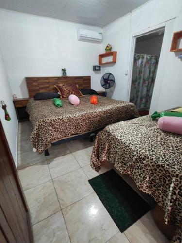 Tortuguero Casa de Playa Green House in Тортугеро Tortuguero Casa de Playa Green House in Тортугеро