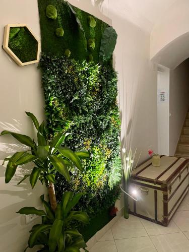 ล็อบบี้, Hostel Pipištrelo (Hostel Pipistrelo) in พูลา ล็อบบี้, Hostel Pipištrelo (Hostel Pipistrelo) in พูลา