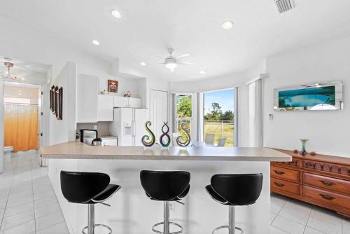 Vibrant & Peaceful Home near Mineral Springs in Warm Mineral Springs Vibrant & Peaceful Home near Mineral Springs in Warm Mineral Springs