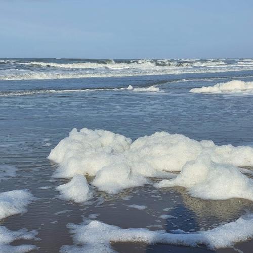 Beach, Strand 11 in Callantsoog Beach, Strand 11 in Callantsoog