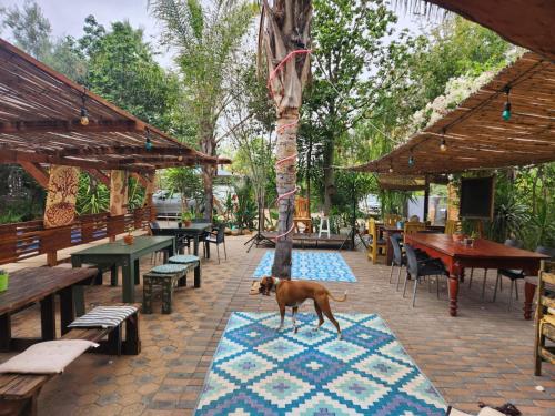 Restaurante, Karoozin Village in Oudtshoorn Restaurante, Karoozin Village in Oudtshoorn