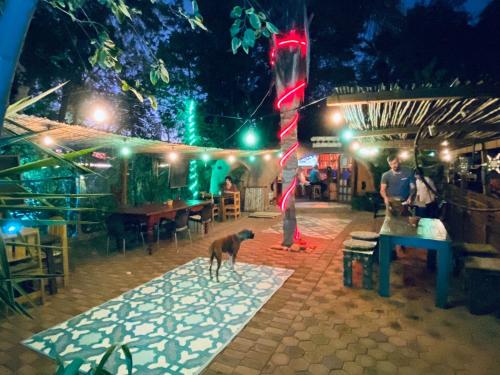 Restaurante, Karoozin Village in Oudtshoorn Restaurante, Karoozin Village in Oudtshoorn