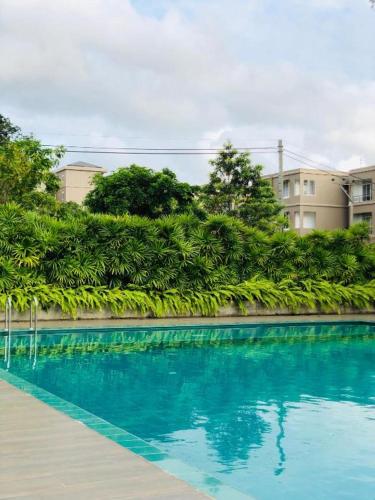 Swimming pool, Furnished homelike apartment at Mount Clifford Range,Homagama in Polgasowita Swimming pool, Furnished homelike apartment at Mount Clifford Range,Homagama in Polgasowita