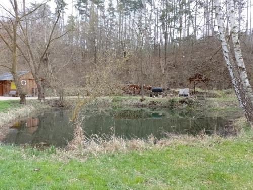 الأنشطة, Penzion Litohlavy 17 - Na samotě u lesa (Penzion Litohlavy 17 - Na samote u lesa) in بيرون الأنشطة, Penzion Litohlavy 17 - Na samotě u lesa (Penzion Litohlavy 17 - Na samote u lesa) in بيرون