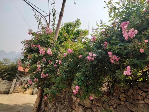 Ong Vang Meo Vac Hotel in Meo Vac Ong Vang Meo Vac Hotel in Meo Vac