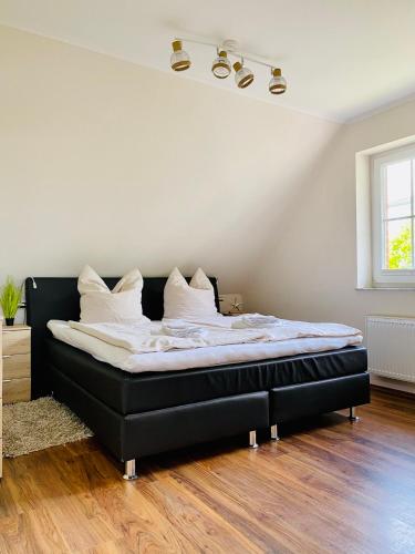 FeWo PANORAMADECK Familien-strandnah-Garten-Hunde-Sport-und Schwimmbadnah-HansaPark in Sierksdorf FeWo PANORAMADECK Familien-strandnah-Garten-Hunde-Sport-und Schwimmbadnah-HansaPark in Sierksdorf