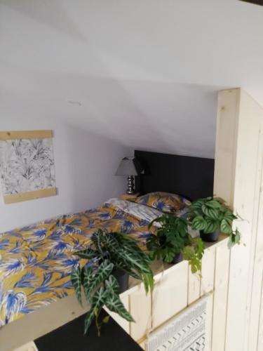 Joli appart. entre Biarritz et Bordeaux à Moliets