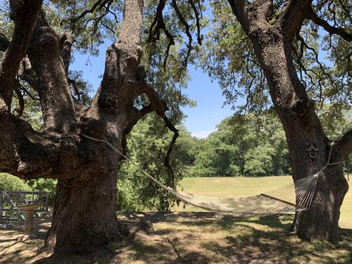 Lambert Park on Medina River in Bandera Lambert Park on Medina River in Bandera