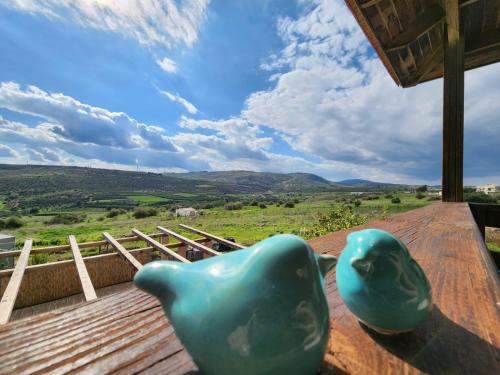 Balcony/terrace, Zug Yonim in Livnim Balcony/terrace, Zug Yonim in Livnim