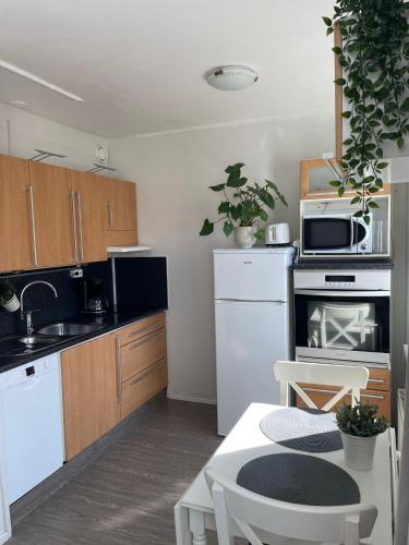 City Apartment Maaherrankatu in Куопио City Apartment Maaherrankatu in Куопио