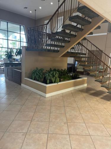 לובי, Club Destin Condos in Destin City Center לובי, Club Destin Condos in Destin City Center