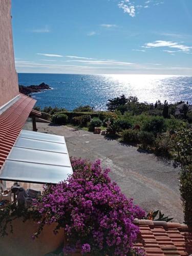 Studio Antheor, vue mer in Antheor Studio Antheor, vue mer in Antheor