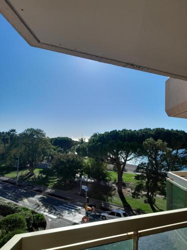 Port Plage Centre Ville et Soleil