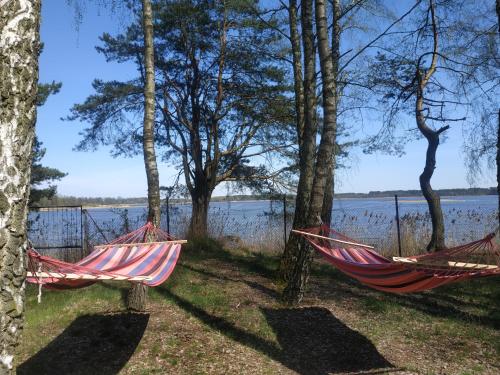 Domek nad jeziorem, przy lesie, wlasny pomost i kajak, grill, ognisko,3500 metrow na wylacznosc, ham in Sulejow Domek nad jeziorem, przy lesie, wlasny pomost i kajak, grill, ognisko,3500 metrow na wylacznosc, ham in Sulejow