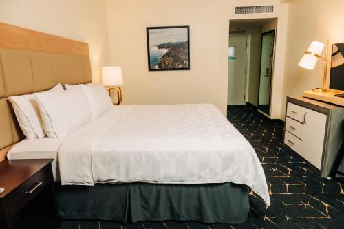 Holiday Inn San Salvador in San Salvador Holiday Inn San Salvador in San Salvador