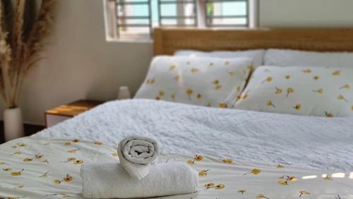 Cozy Central House in Hai Phong Cozy Central House in Hai Phong