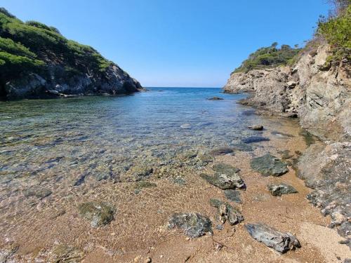 Nabij attractie, Porquerolles - La Porquerollaise in Porquerolles Nabij attractie, Porquerolles - La Porquerollaise in Porquerolles