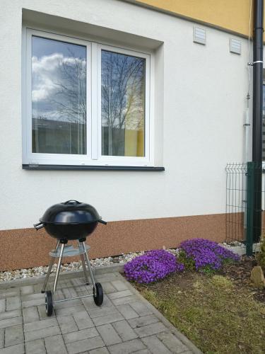 Létesítmények, Rodinný apartmán Lucie v blízkosti Wellness hotelu ve Frymburku (Rodinny apartman Lucie v blizkosti Wellness hotelu ve Frymburku) in Frymburk Létesítmények, Rodinný apartmán Lucie v blízkosti Wellness hotelu ve Frymburku (Rodinny apartman Lucie v blizkosti Wellness hotelu ve Frymburku) in Frymburk