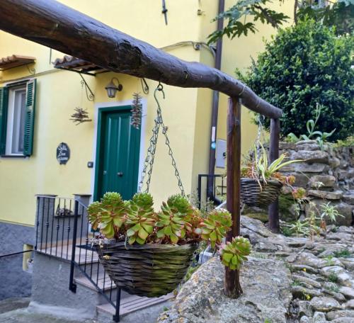 Szolgáltatások, Da Zia Matilde in Caramagna Ligure Szolgáltatások, Da Zia Matilde in Caramagna Ligure