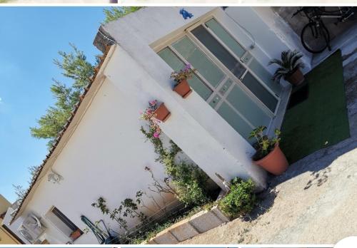 casa vacanze i due delfini in Spongano casa vacanze i due delfini in Spongano