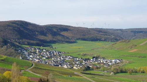 Ferienwohnung im Moseltal in Veldenz Ferienwohnung im Moseltal in Veldenz