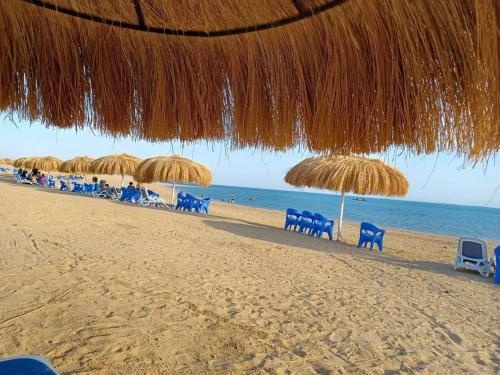 Strand, لاسيرينا عيون موسي in Ras Sedr Strand, لاسيرينا عيون موسي in Ras Sedr