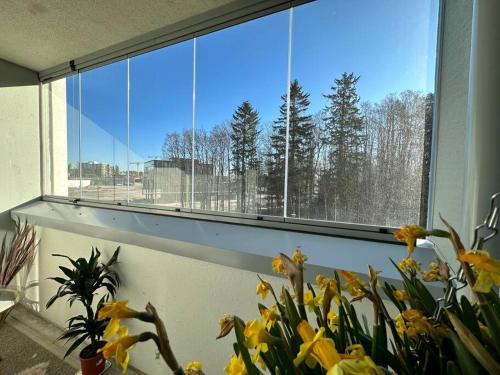 شرفة/ تراس, Aurora Home Finnoo Espoo - studio near to metro, easy to reach Helsinki and Otaniemi, Aalto Universi in Espoo شرفة/ تراس, Aurora Home Finnoo Espoo - studio near to metro, easy to reach Helsinki and Otaniemi, Aalto Universi in Espoo