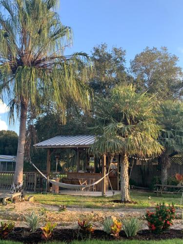 View, Tropical getaway Pool and tiki bar in Cleveland (FL) View, Tropical getaway Pool and tiki bar in Cleveland (FL)