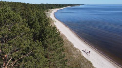 Albatross Apartment Romantic in 恩古雷 Albatross Apartment Romantic in 恩古雷