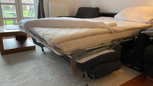 Feriendorf Rugana Insel Rügen Fewos Vogelgesang