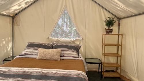 Tentrr Signature Site - Mountain Memories Retreat - Papa Bear Site in Travelers Rest (SC) Tentrr Signature Site - Mountain Memories Retreat - Papa Bear Site in Travelers Rest (SC)