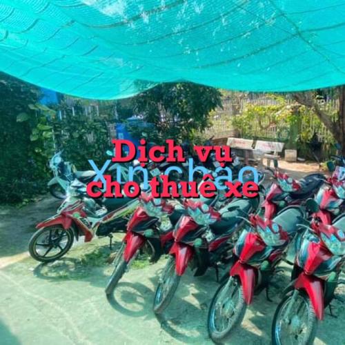 Nha nghi Gia An in Lai Son Nha nghi Gia An in Lai Son