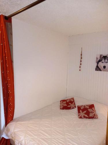 Appartement chalet en plein centre des Saisies