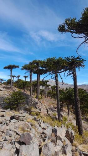 주변 환경, Los Riscos Antigua Cabaña Toba (Los Riscos Antigua Cabana Toba) in 카비아우 주변 환경, Los Riscos Antigua Cabaña Toba (Los Riscos Antigua Cabana Toba) in 카비아우